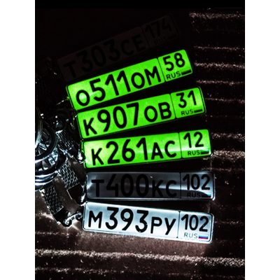 Заготовки брелок гос. номер авто, крепления для брелков, линзы для брелков с гос. номером авто