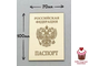 Акриловое украшение Паспорт, золото, 10х7 см