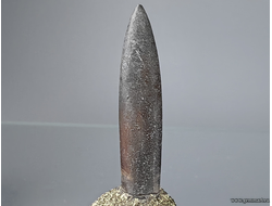 Пирит на белемните. КЧР. Россия. 60*22*21мм