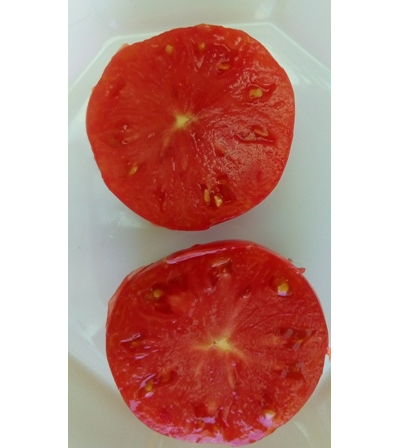 Томат KAS-21, Польша