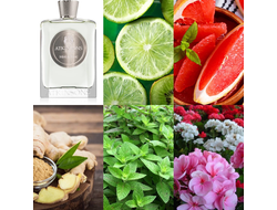 Atkinsons Mint & Tonic