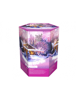 P7081 Зимняя ночь