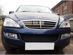 Защита радиатора Ssang Yong Kyron 2006- black