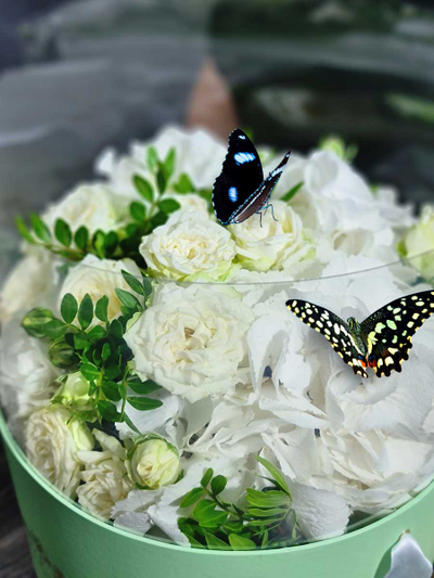 Букет с бабочками  №131