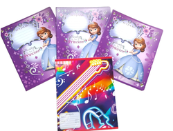 Набор из 4 тетрадей в линейку, 18 листов, формат А5