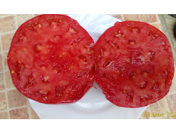 Томат Тидвелл немецкий (Tidwell German)