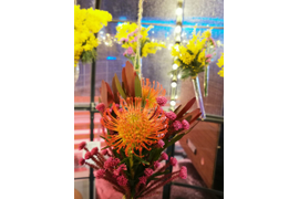 Живые цветы в подвесных вазах