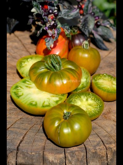 Томат Ярсон 20 (Jarson 20), 10 шт