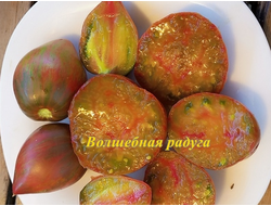 Томат Волшебная Радуга