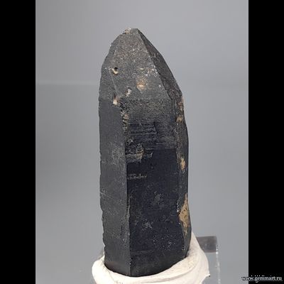 Морион (разн. кварца). Казахстан. 37*12*10мм