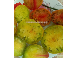 Томат Тайга (Taiga)