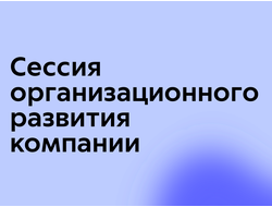 Сессия организационного развития компании