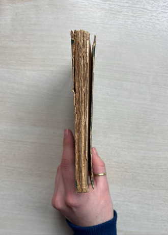 Im Westen Nichts Neues. E. M. Remarque