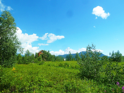 кордон Центральный