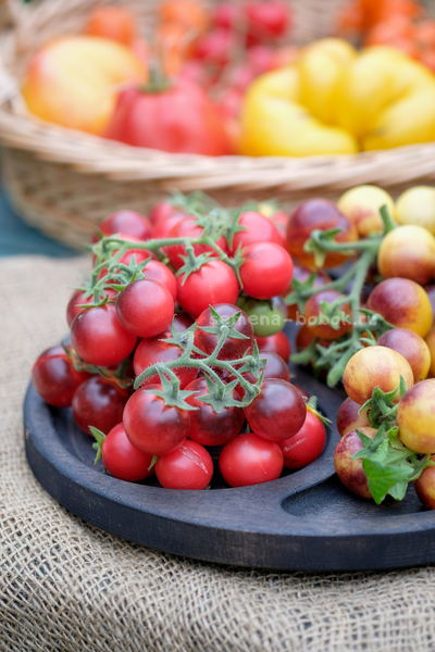 Томат Маленький Красный Корвет (Little Red Corvete), 10 шт