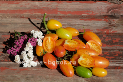 Томат Блаш ( Blush), 10 шт