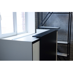 (РЕС-18) Стойка ресепшен с языком