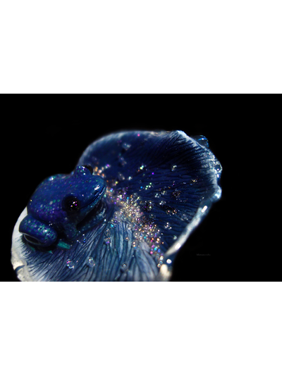 Волшебная брошь с лягушкой "Рассыпая звёздную пыль..."