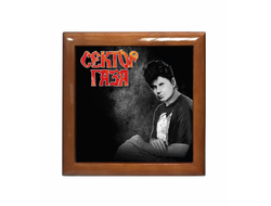 Шкатулка Сектор Газа, Юрий Хой №40