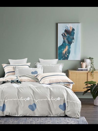 Постельное белье TANGO Twill сатин евро 200x220x1 230x250x1 50x70x2 70x70x2 TPIG6-1697