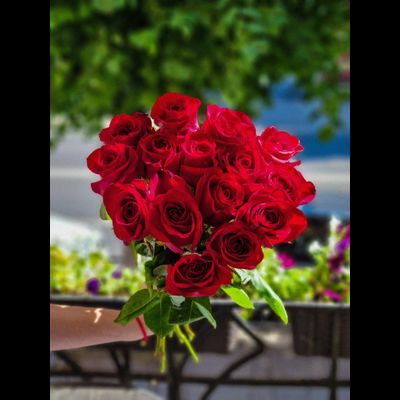 Роза Эквадор 60 см 15 шт