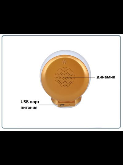 EtongSS WiFi видеоняня/IP видеокамера, моторизированная, с DVR. Full HD 3Mp