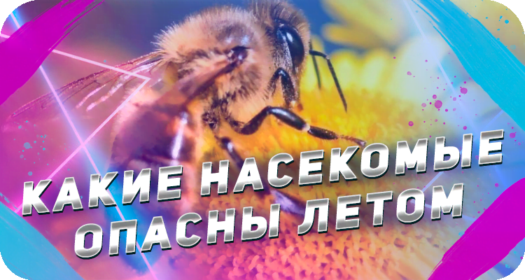 Опасные насекомые в России