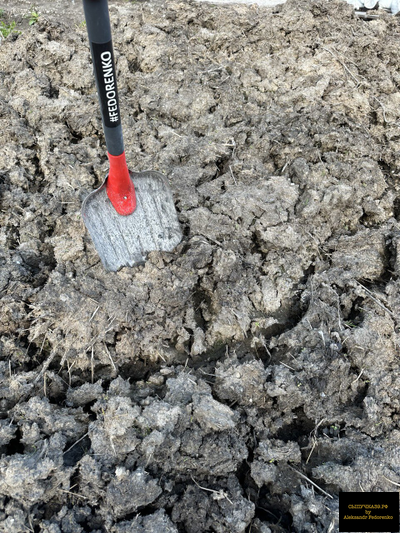 коровий навоз перегной