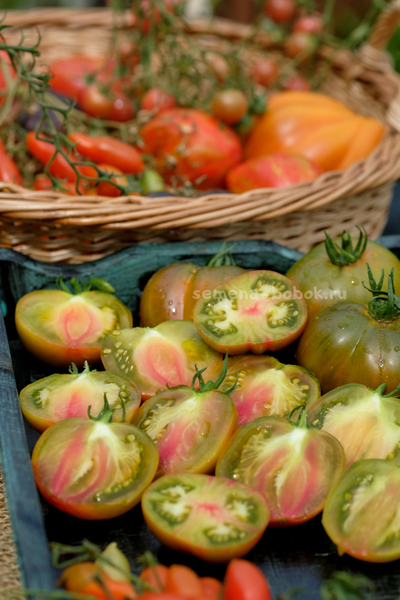 Томат Ярсон 5 Триколор (Jarson 5), 10 шт