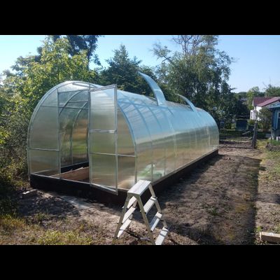 Теплица «Дачница Усиленная» 3*8 м. Сотовый поликарбонат 6 мм.