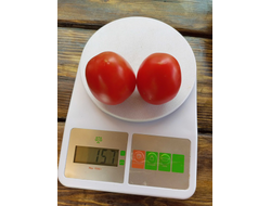 Томат Аргентинская сливка