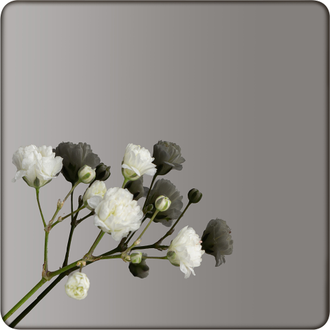 Декоративная нержавеющая сталь Mirror Black Артикул - DM025