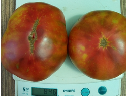 Томат Мадди Мамба (Muddy Mamba)