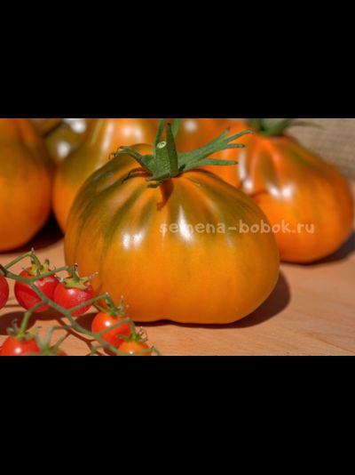 Томат Ярсон 13 (Охровая груша), 10 шт
