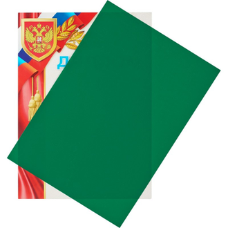 Обложки для переплета пластиковые Promega office зел. А4,280мкм,100 штук в упаковке