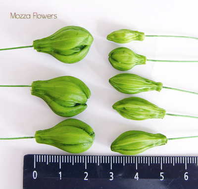 "Бутоны альстромерии " Силиконовый молд