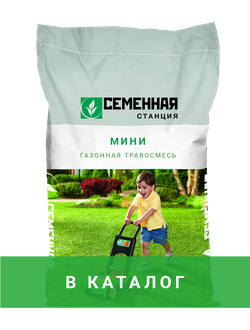 ⭐️Низкорослый газон