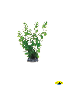 1990р Растение пласт.19см. зеленое Бакопа