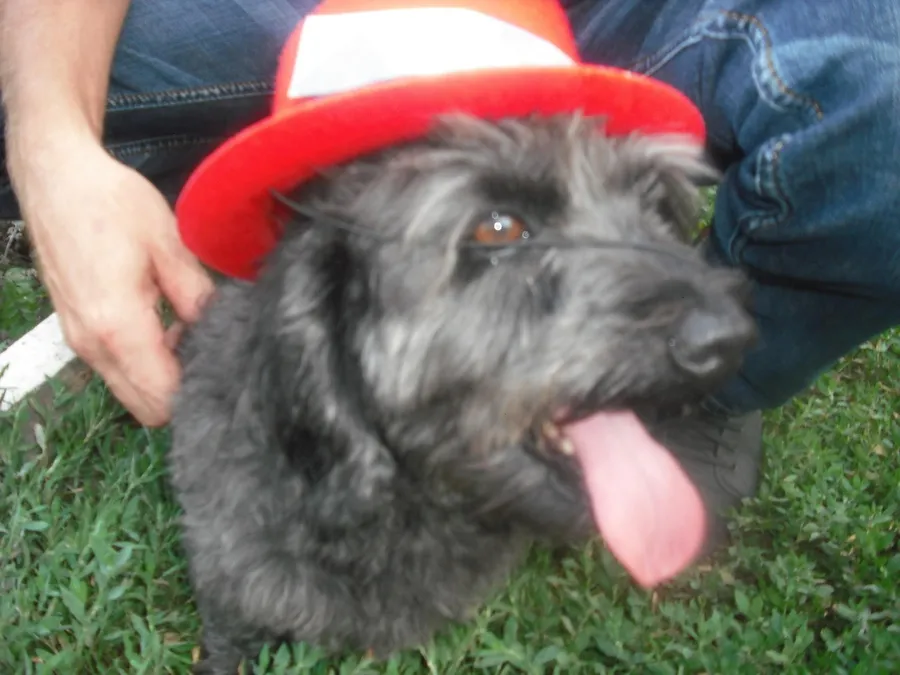 Хозяйка Викторина Петровна: "Свежая и вкусная продукция. Мы Вас ценим и любим".