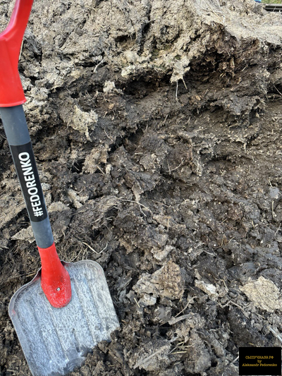 коровий навоз перегной