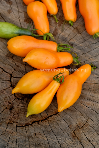 Томат Валентино ( Valentino ), 10 шт