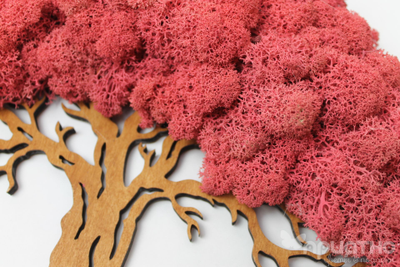 ЖИВАЯ ЭКО-КАРТИНА 1024