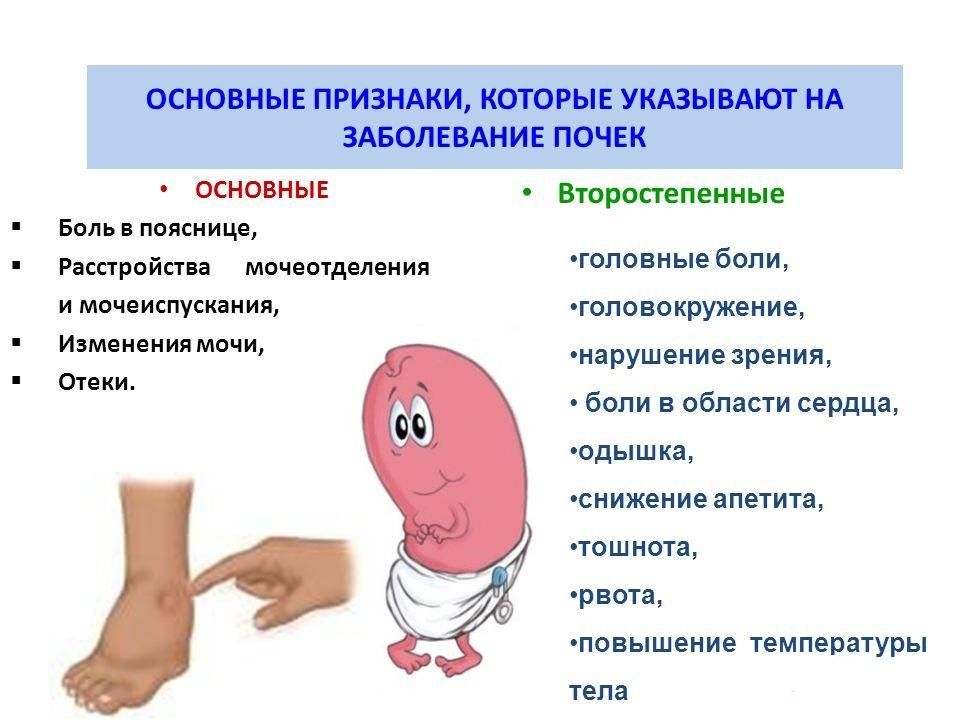 Как быстро снять почечную боль Нефрологический центр с отделение гемодиализа - Медикал Групп - Новости