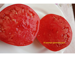 Томат Клавдия еремеевская