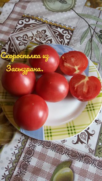 семена томаты "Скороспелка из Засызрана" 10 шт.