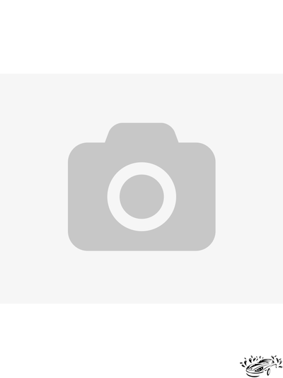 Очиститель дисков Koch Chemie QUATTRO ACID STAR XL (500 мл) KCU