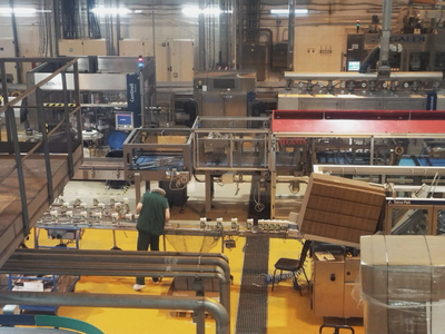 Экскурсия на молочную ферму "ЭкоНива" и молочный завод