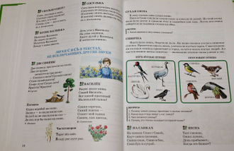 Жукова Н.С. Уроки логопеда: Исправление нарушений речи. М.: Эксмо. 2013г.