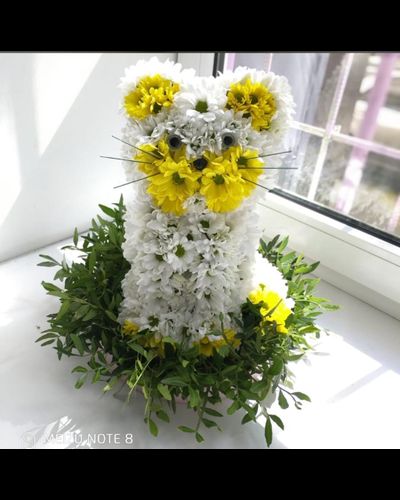 Композиция Кошечка