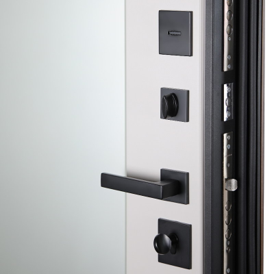 Стальная дверь   Фаворит с матовым зеркалом. Заказная модель.